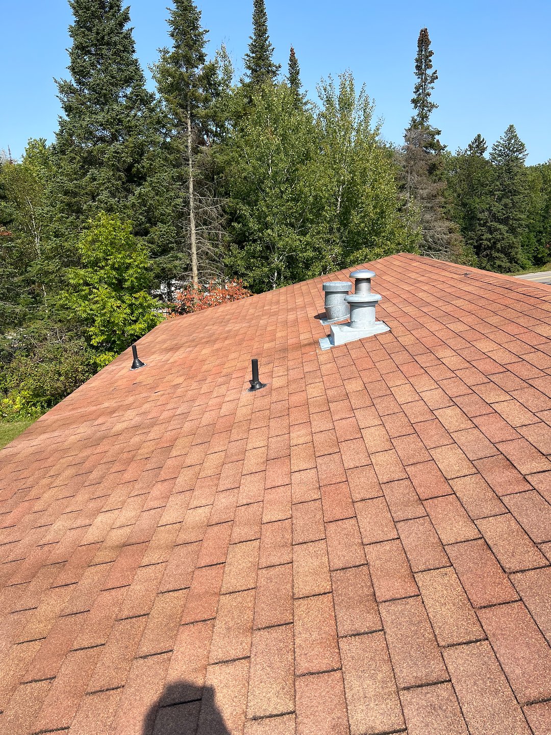 Expert Roof Cleaning In Bemidji, MN